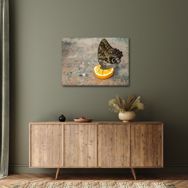 Slika leptira (70x50 cm)