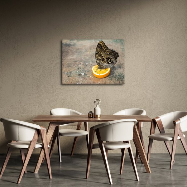 Slika leptira (70x50 cm)