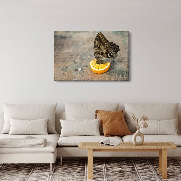 Slika leptira (90x60 cm)