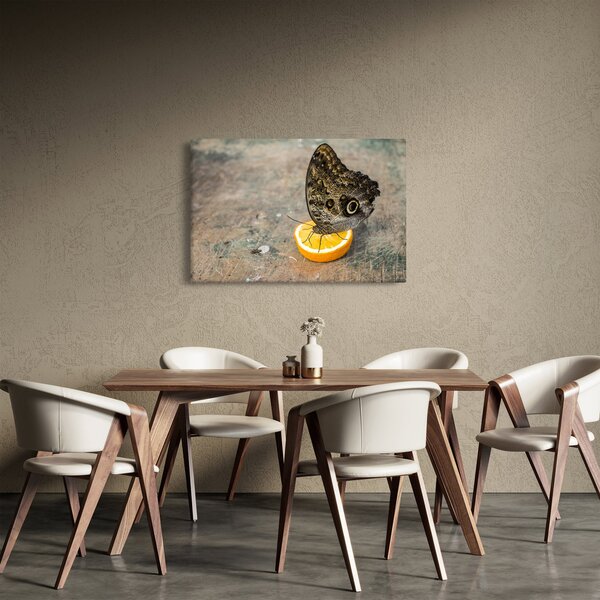 Slika leptira (90x60 cm)