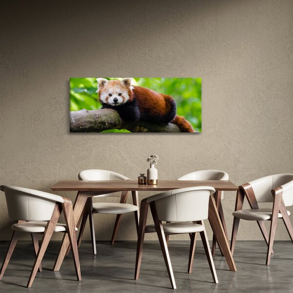 Slika crvene pande (120x50 cm)
