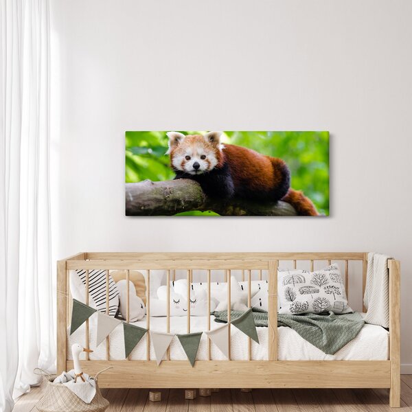 Slika crvene pande (120x50 cm)