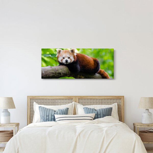 Slika crvene pande (120x50 cm)