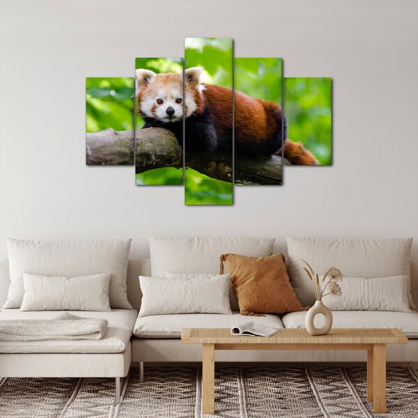 Slika crvene pande (150x105 cm)