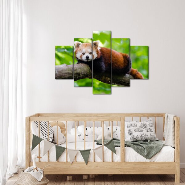 Slika crvene pande (150x105 cm)