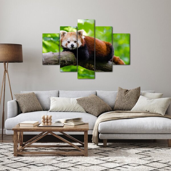 Slika crvene pande (150x105 cm)