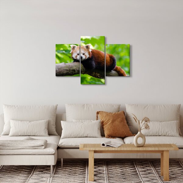 Slika crvene pande (90x60 cm)