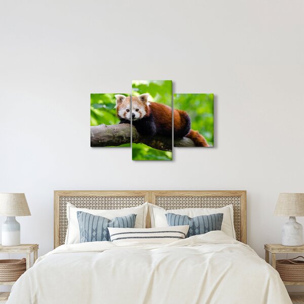Slika crvene pande (90x60 cm)