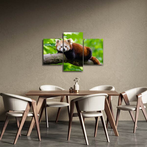 Slika crvene pande (90x60 cm)