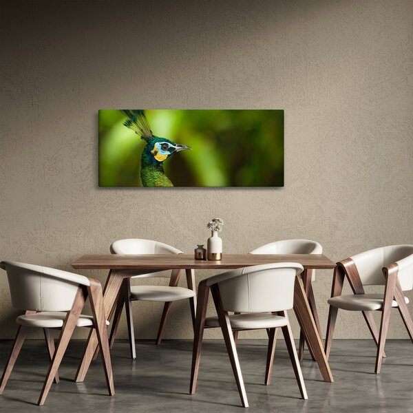 Slika pauna (120x50 cm)