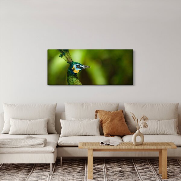 Slika pauna (120x50 cm)