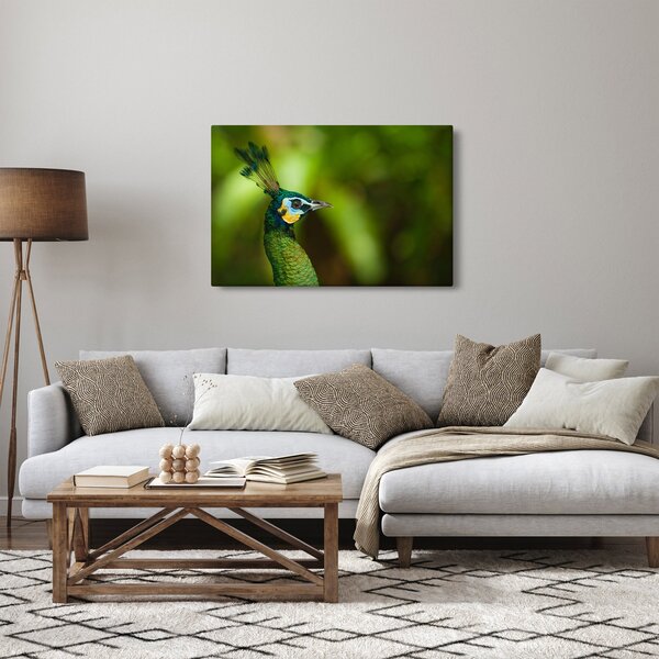 Slika pauna (90x60 cm)