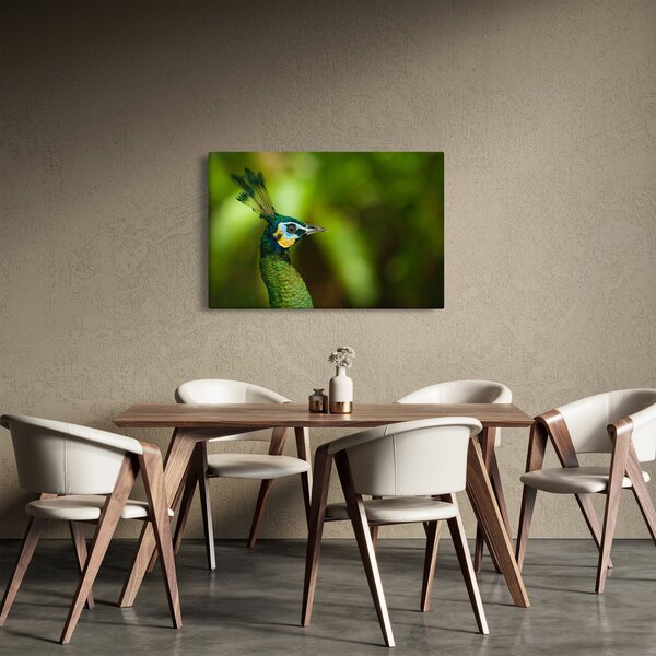 Slika pauna (90x60 cm)