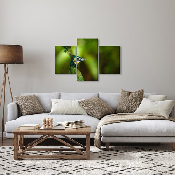Slika pauna (90x60 cm)