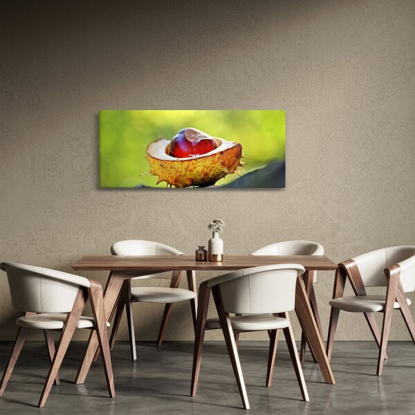Slika kestena (120x50 cm)