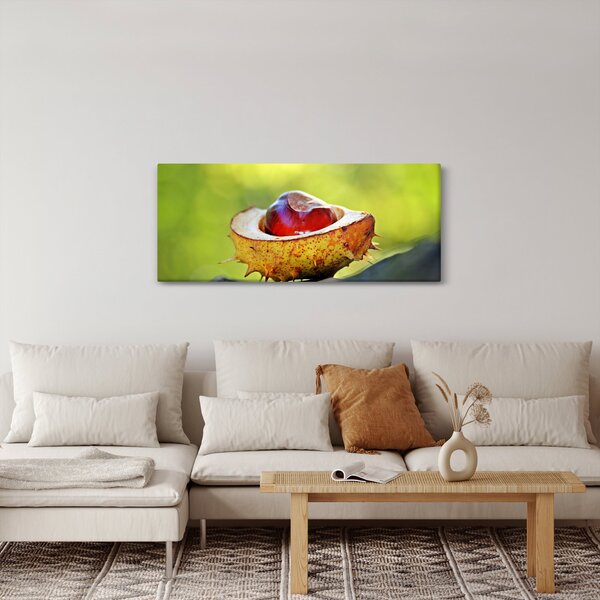 Slika kestena (120x50 cm)
