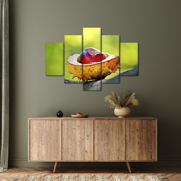 Slika kestena (150x105 cm)