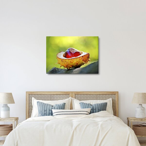 Slika kestena (70x50 cm)