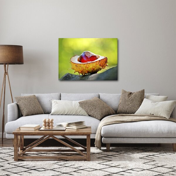 Slika kestena (70x50 cm)