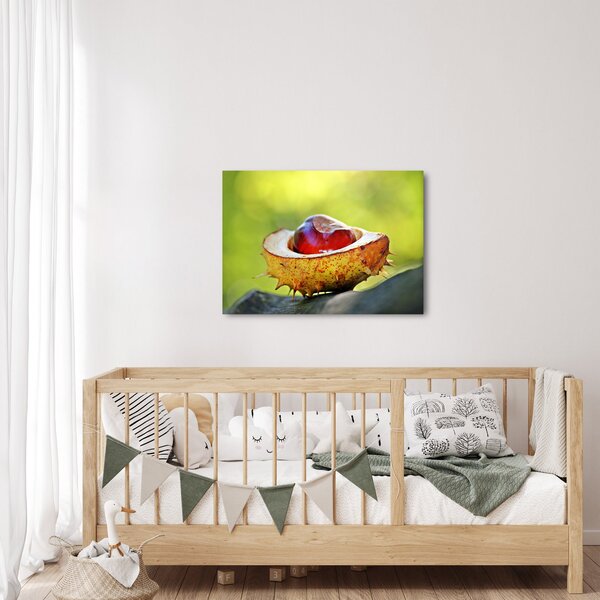 Slika kestena (70x50 cm)