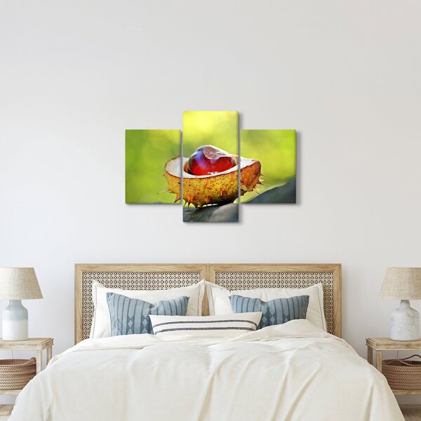 Slika kestena (90x60 cm)