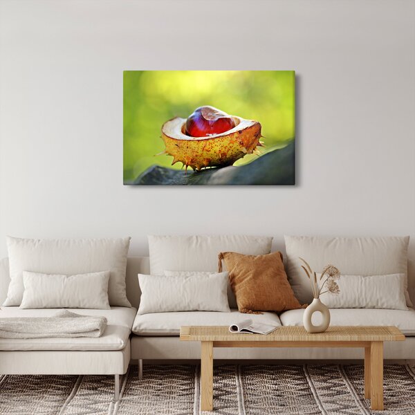 Slika kestena (90x60 cm)