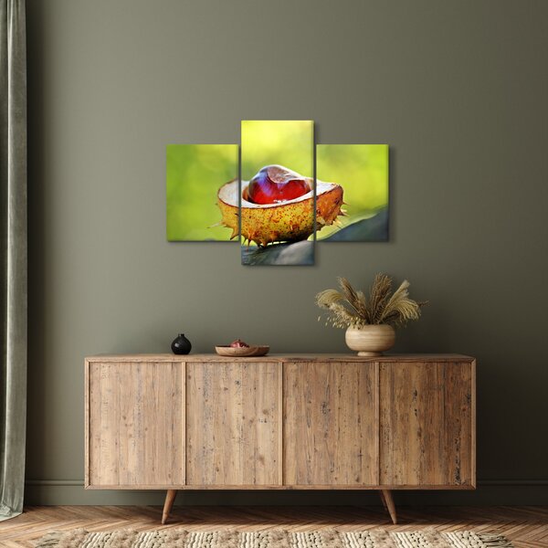 Slika kestena (90x60 cm)
