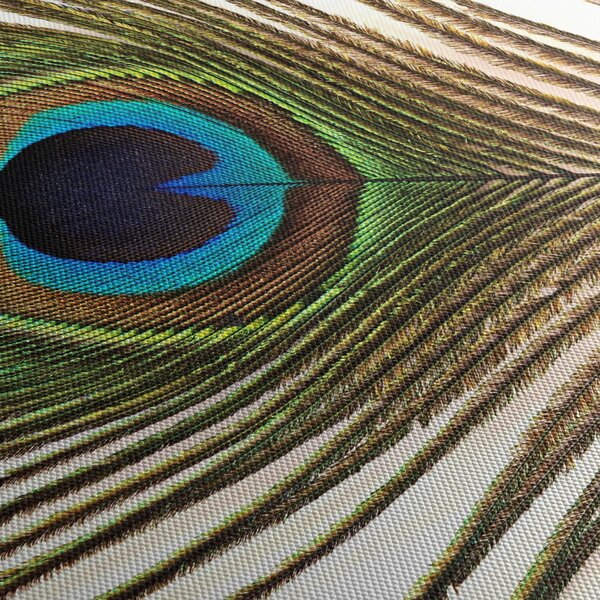 Slika paunovog perja (120x50 cm)