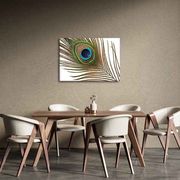 Slika paunovog perja (70x50 cm)