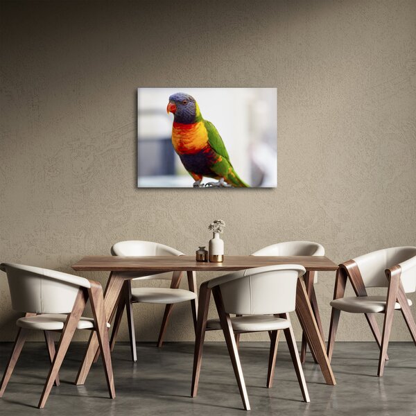Slika papige (70x50 cm)