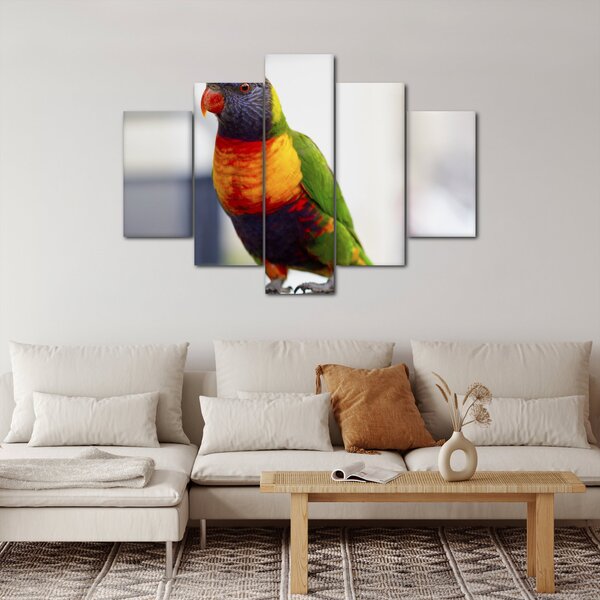 Slika papige (150x105 cm)