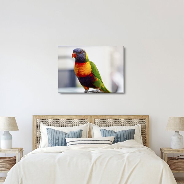 Slika papige (70x50 cm)