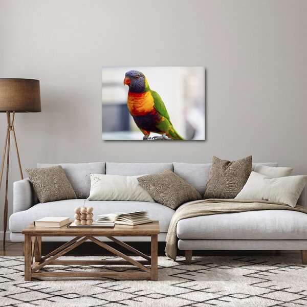 Slika papige (70x50 cm)