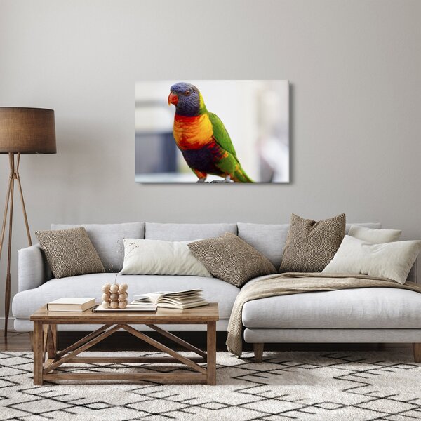 Slika papige (90x60 cm)