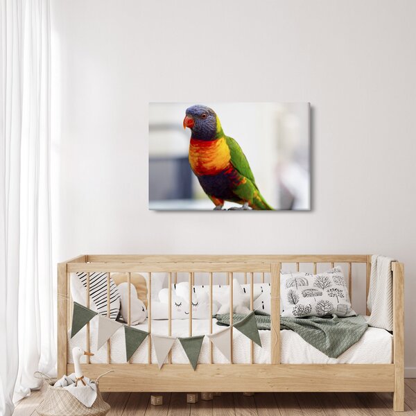 Slika papige (90x60 cm)