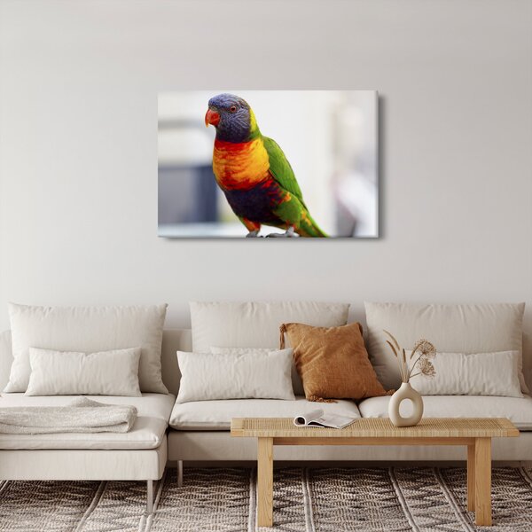 Slika papige (90x60 cm)