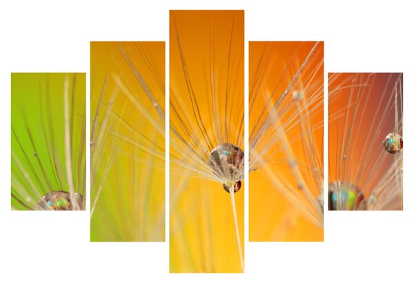 Slika kapljica na biljci (150x105 cm)