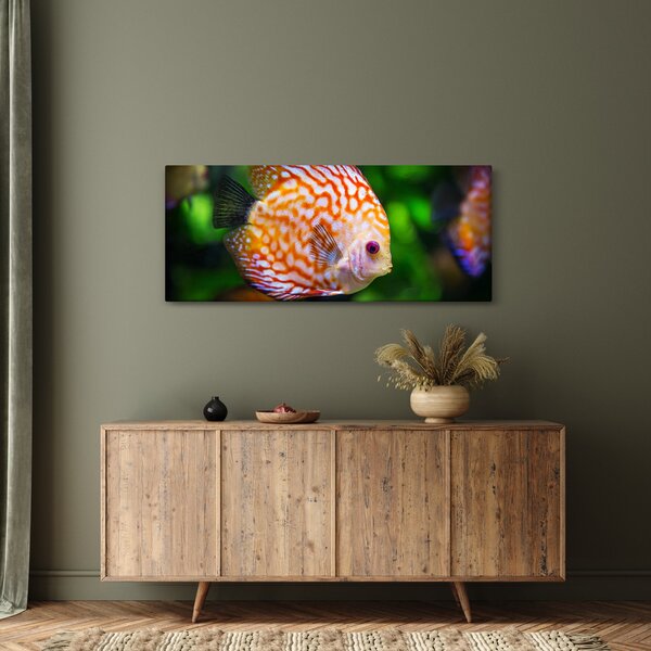 Slika ribe (120x50 cm)