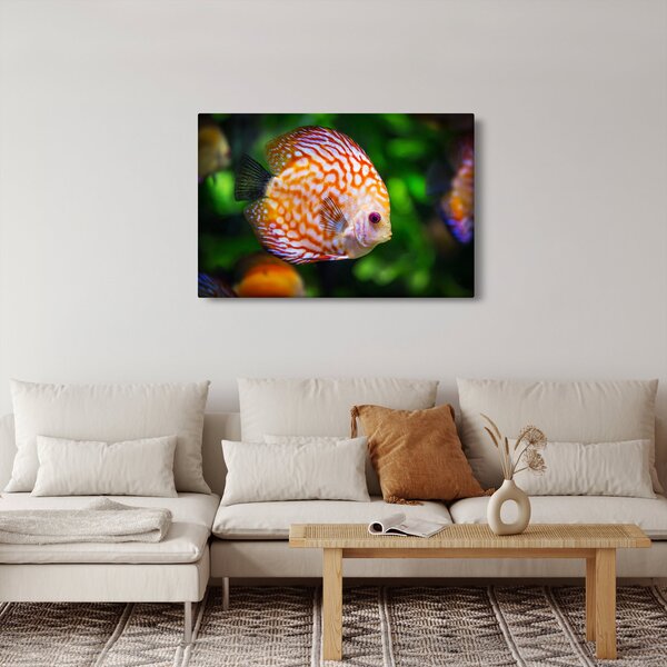 Slika ribe (90x60 cm)