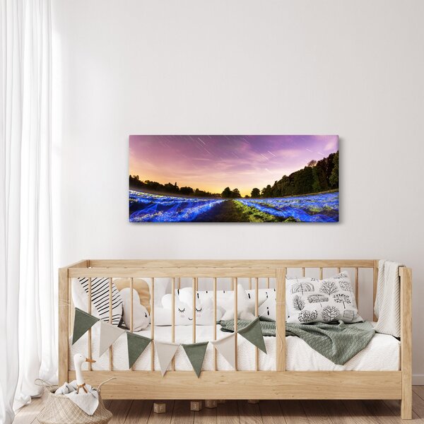 Slika polja u boji (120x50 cm)
