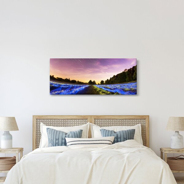 Slika polja u boji (120x50 cm)