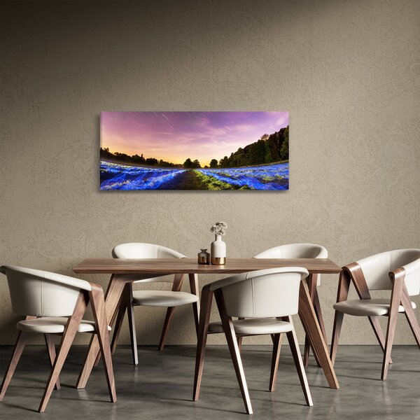 Slika polja u boji (120x50 cm)