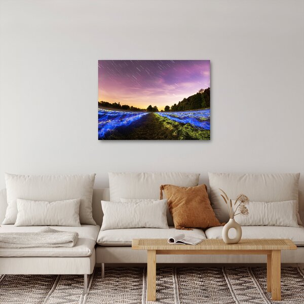 Slika polja u boji (70x50 cm)