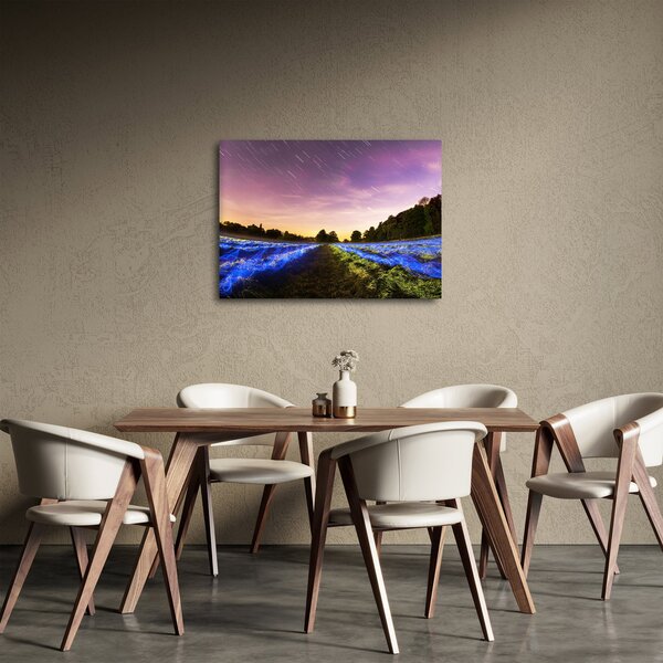 Slika polja u boji (70x50 cm)