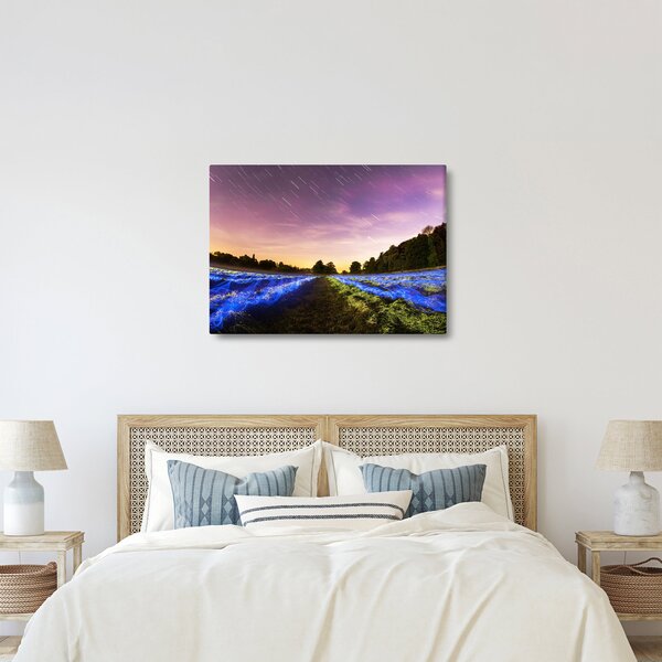 Slika polja u boji (70x50 cm)