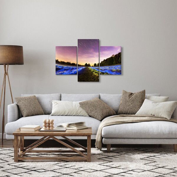 Slika polja u boji (90x60 cm)