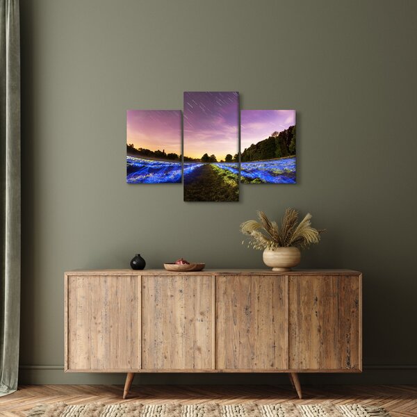 Slika polja u boji (90x60 cm)