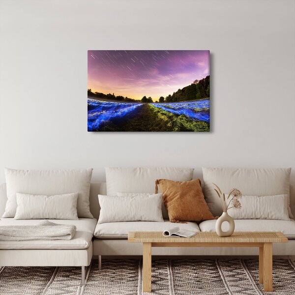 Slika polja u boji (90x60 cm)