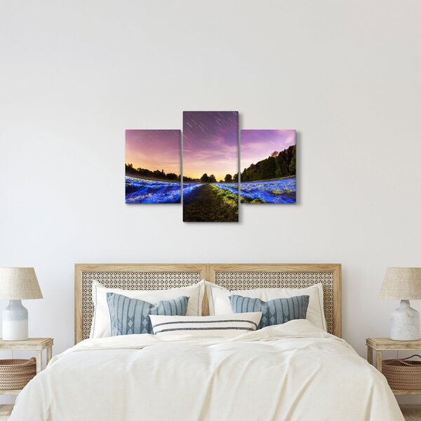 Slika polja u boji (90x60 cm)