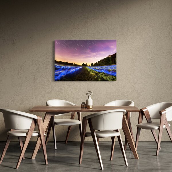 Slika polja u boji (90x60 cm)